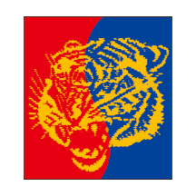 대명스포츠(호랑이)